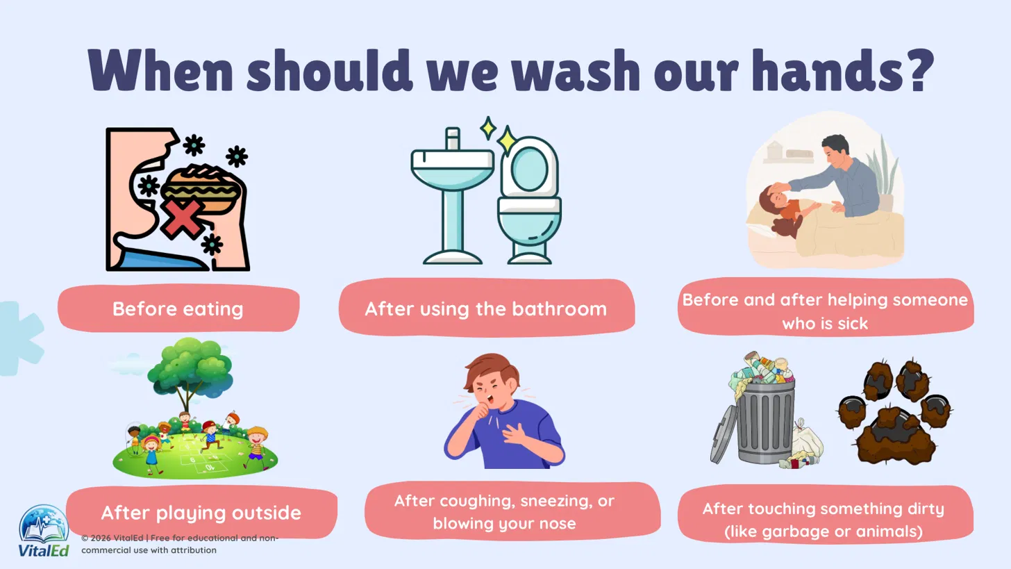 When Should We Wash Our Hands?