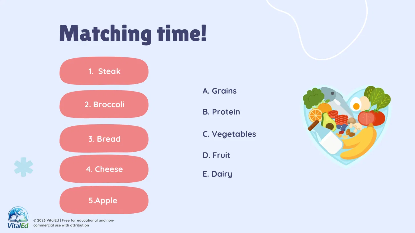 Nutrition Matching Activity